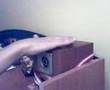 videos de fingerboard(FURKAN vs. CAN)2