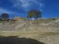 VIAJE SUR DE MEXICO 4 MONTE ALBAN
