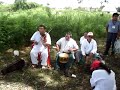 Traditional Maya Trio
