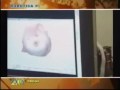 Scenes from \"Weekend - Teletruria\"
