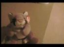 Beanie Baby Friends: Bear SUCKS!!!