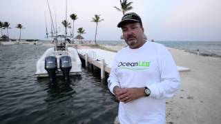 Overboard Gear Yellow Dry Tube 12 Liter - Waterproof/720 Cubic Inches