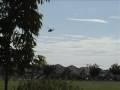 B-CAS動画6