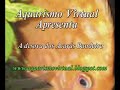 Video sobre a desova dos acarás Bandeiras em meu aquário plantado 