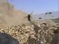 Angry Wasps in Afghanistan