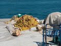 Plataria Griechenland Greece 1 Plataria Griechenland Greece 1