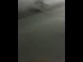 Longboardinn