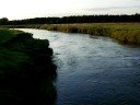 Skjern Å - River Skjern - a salmon river in Denmark