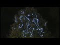 Galaxia Tree Galaxia Tree