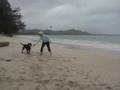 Beach Walk #7 - Wind & Web 2.0