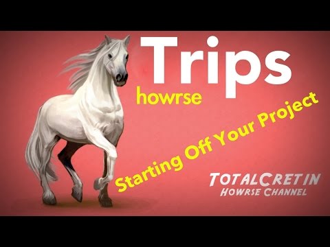 how to start off your ec on howrse