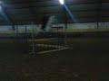 Ideal & Moi // Oxer 20/12/08 // Oxer environ 1m