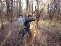videos de RICHES TREE