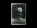 Eleanor Rigby by Enoch Light