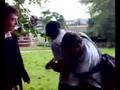 The Howitt Documentary