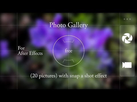 how to snap after effects