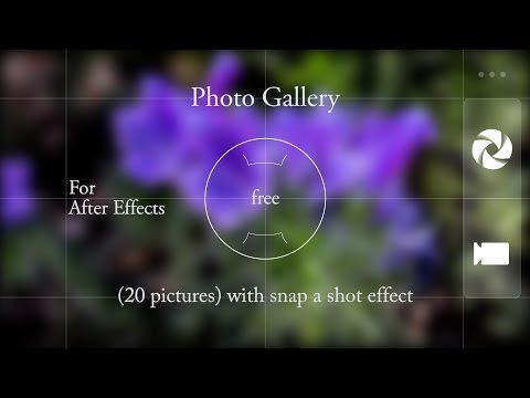 how to snap pictures from your gallery