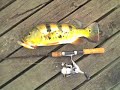 Lure fishing in singapore
