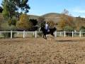 videos de gracie 4.MOV