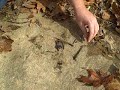 Different Firestarting Material