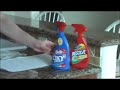 How to clean up cat throw up How to clean up cat throw up