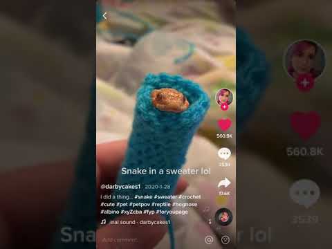 The TikTok video that started it all... from user @darbycakes1, features an albino hognose snake inside a crocheted yarn tube. A snake sweater, if you will.