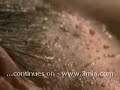 Raven Riley Ass Lesbi Fingering! Raven Riley Ass Lesbi Fingering!