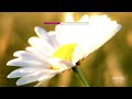 How Great Thou Art (Karaoke)