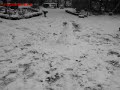Schneeman... Boom