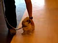 fok-jai-training-3.html
