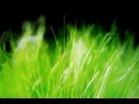 Peaceful Concentration Relaxation Meditation-Music-Part2