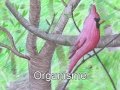 Zoom Cosmique avec sous-titres