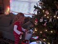 Trimming the Tree, 2009