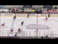 NHL Winter Classic 2009