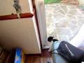 Madddu Cattie