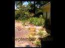 Zanthan Gardens Drought 2006 Zanthan Gardens Drought 2006