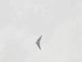 Westland-Hill Pterodactyl Mk. IA