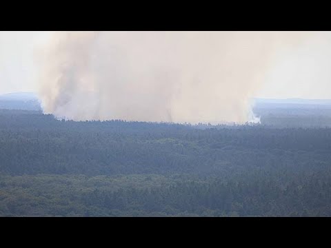 Berlin: Explosionen und Grobrand im Grunewald - Feuerwehr bleibt auf Abstand