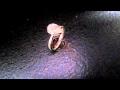 Diamonds Vancouver - Diamonds Calgary - Online Diamond Jewelry - Diamond Deals Jewellery