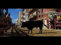 Vila Franca de Xira - Festas de Outubro