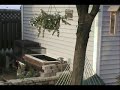 Reptile and animal setup part 2 Reptile and animal setup part 2