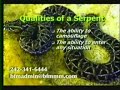 Sheep Wolves Snakes Doves ~ 2 of 2 ~ Dr. Myles Munroe Sheep Wolves Snakes Doves ~ 2 of 2 ~ Dr. Myles Munroe