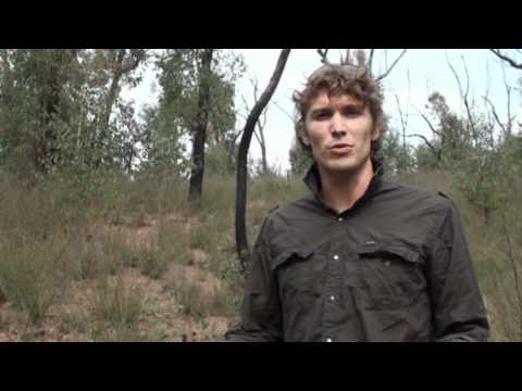 Fire in the landscape: Petter Nyman