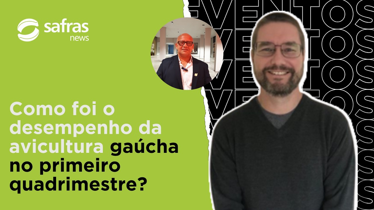 Fatores externos afetam avicultura do RS no primeiro quadrimestre?