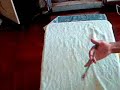 Penzone Cup Clip 00042