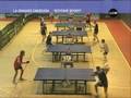 Tennis De Table : Open De Marseille 2010