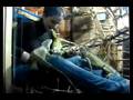 iguanas greed for banana (ouch, my finger!)
