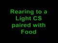 Headjerking and rearing CRs to auditory and visual CSs