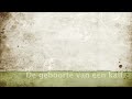 Geboorte kalf.m4v