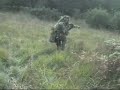 6mm Stealth Hunters \ 6mm Stealth Hunters \